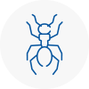 Ant Removals In West Kilburn