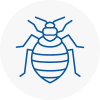 Bed Bug Extermination In West Kilburn
