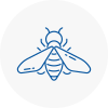 Bee Nest Removal West Kilburn