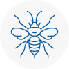 West Kilburn Hornet Nest Removals