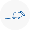Mice Exterminators In West Kilburn