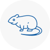 Rat Control West Kilburn
