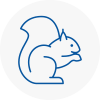 West Kilburn Rodent Removals