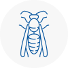 West Kilburn Wasp Nest Removal